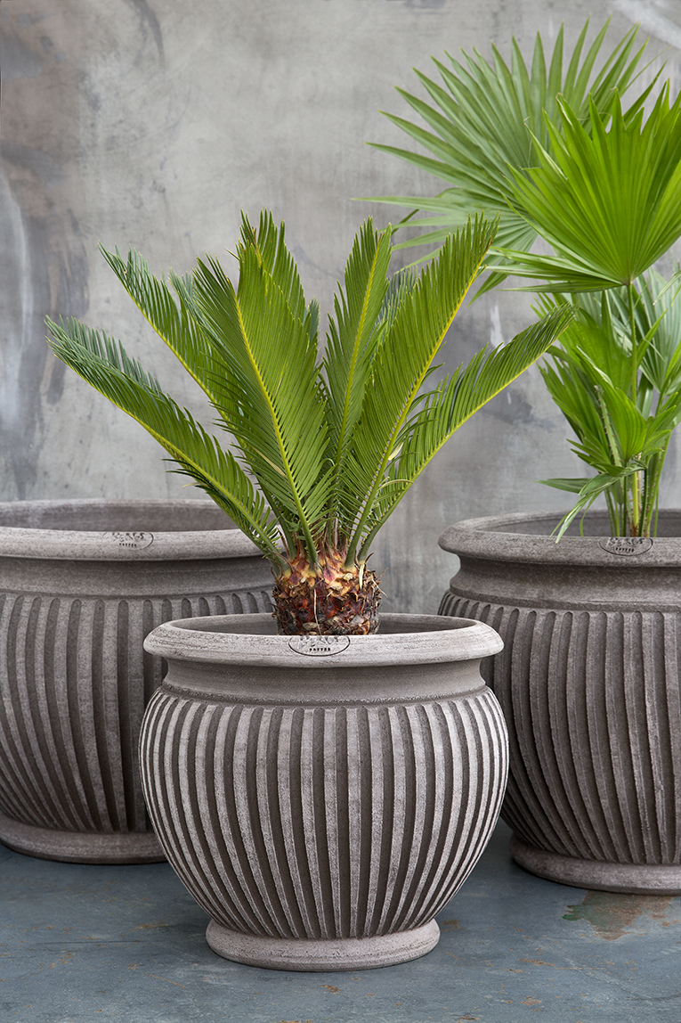 Three raw grey outdoor pots with vertical lines containing palm trees.