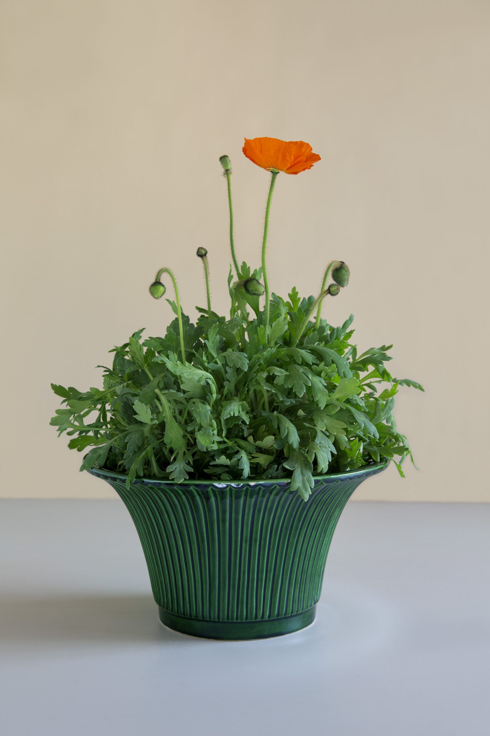 Glazed green standing pot with an orange flower.