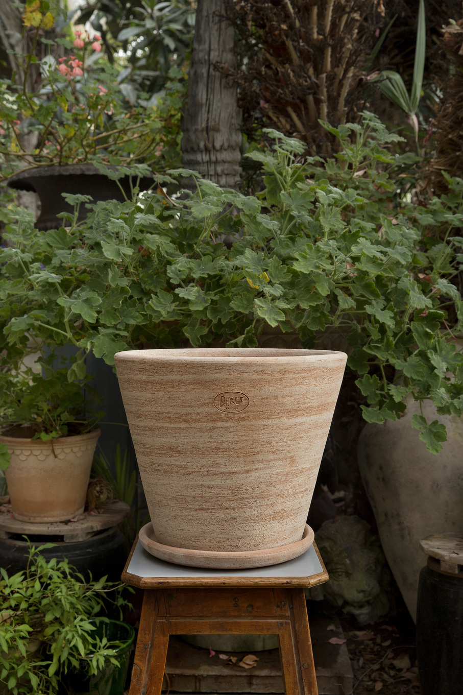 Raw rose terracotta outdoor pot on a stool surrounded by plants.