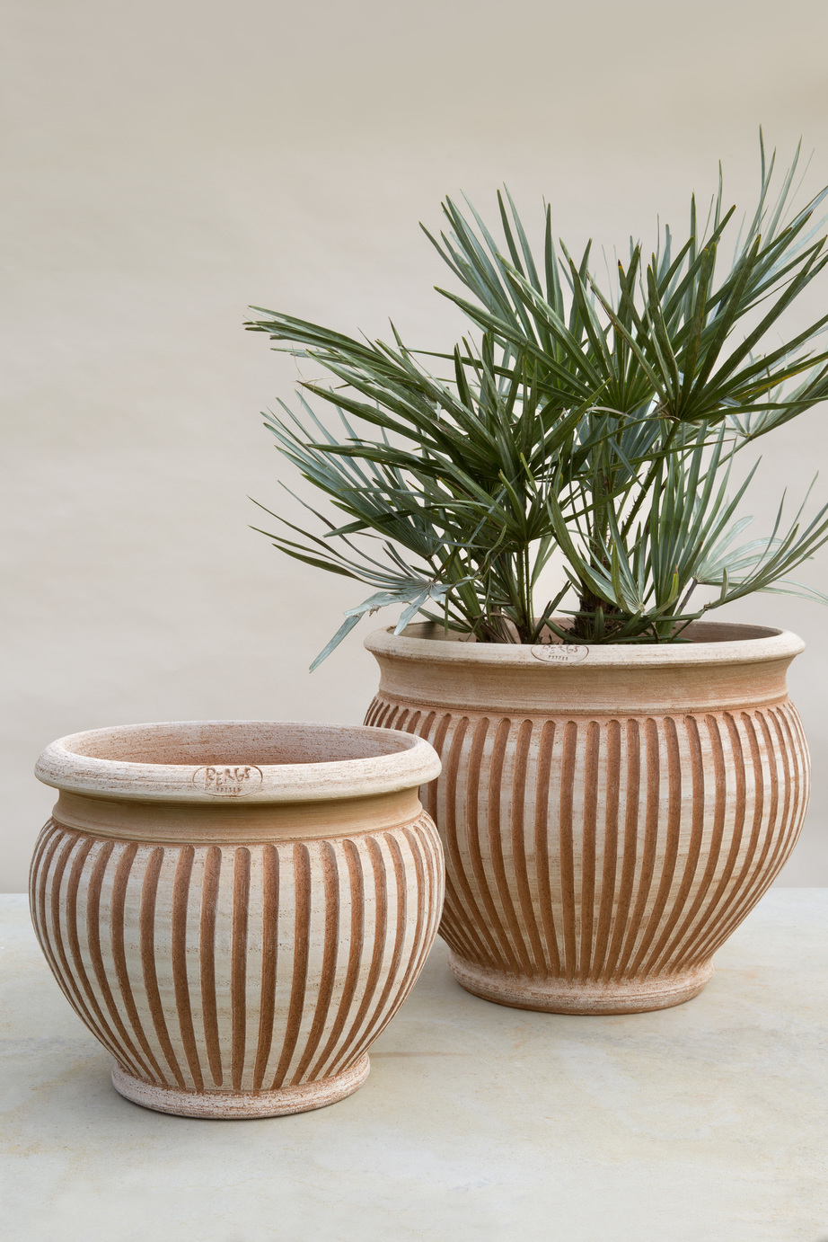 Two short curved pots with vertical lines and a green plant