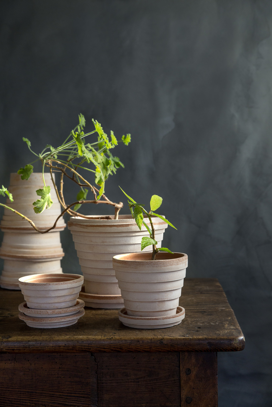 Raw rose terracotta pots with plants on a table.