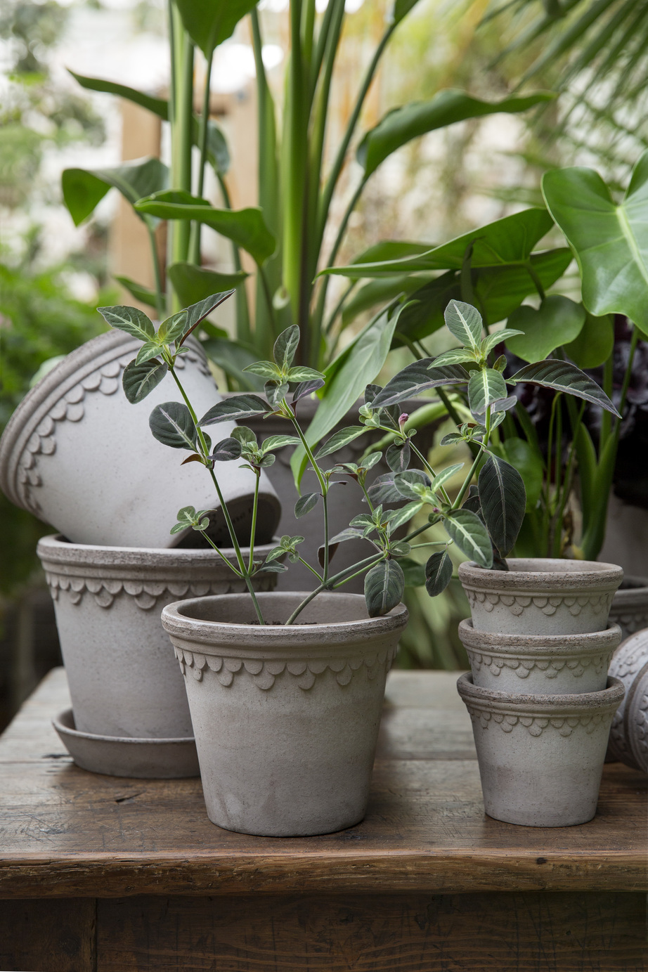 The grey Københavner pot from quality clay