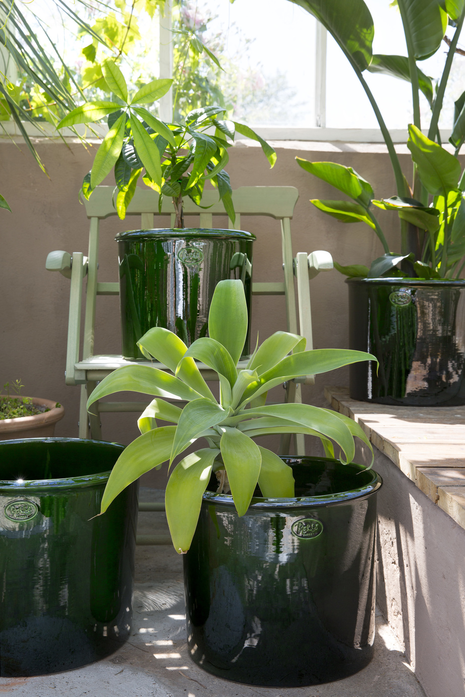 Collection of green glazed cover pots with plants
