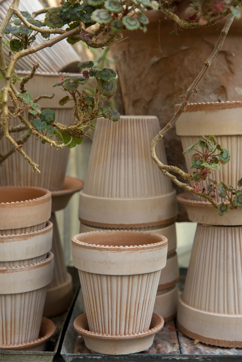 Collection of raw rose pots with line and pearl details.