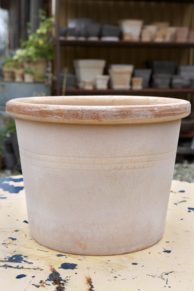 Raw rose pot with three subtle lines.