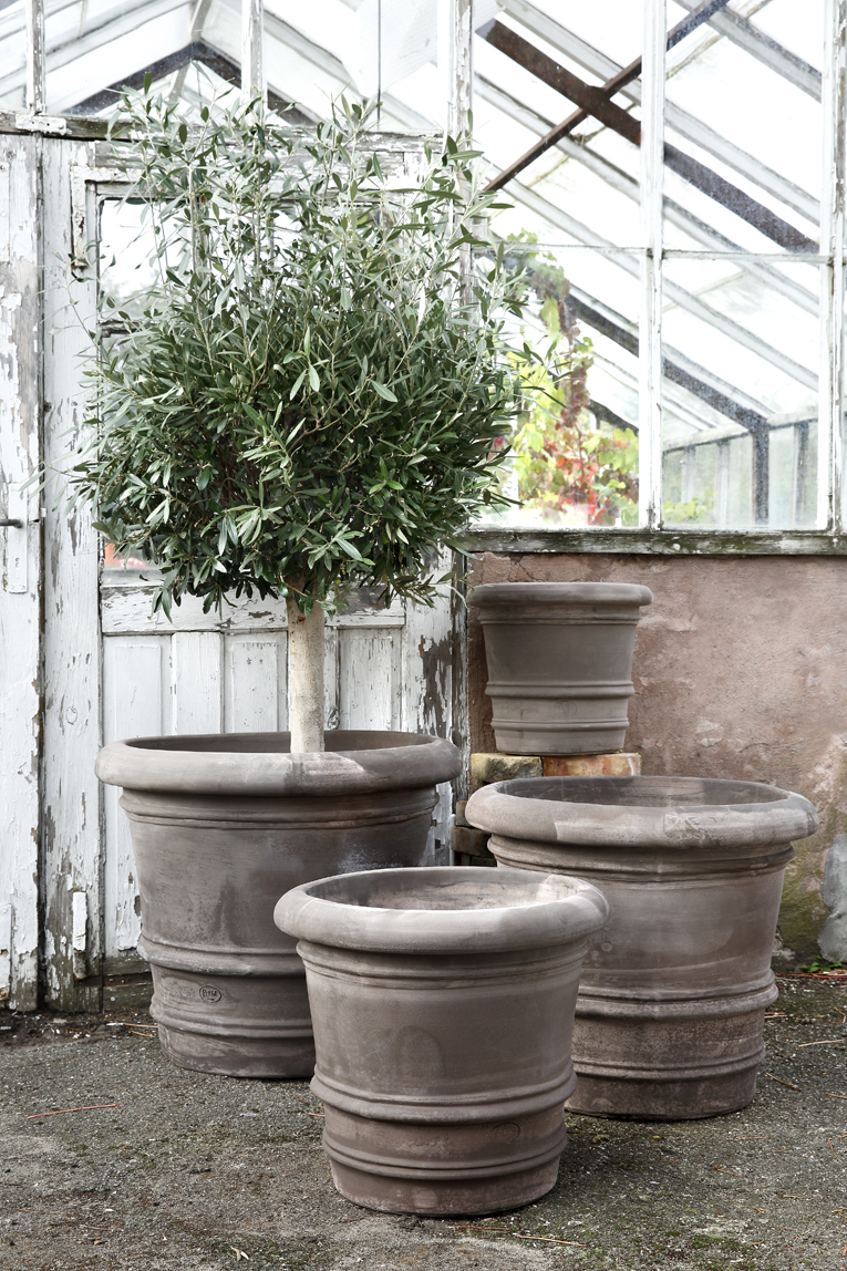 Three large raw grey outdoor pots one with an olive tree.