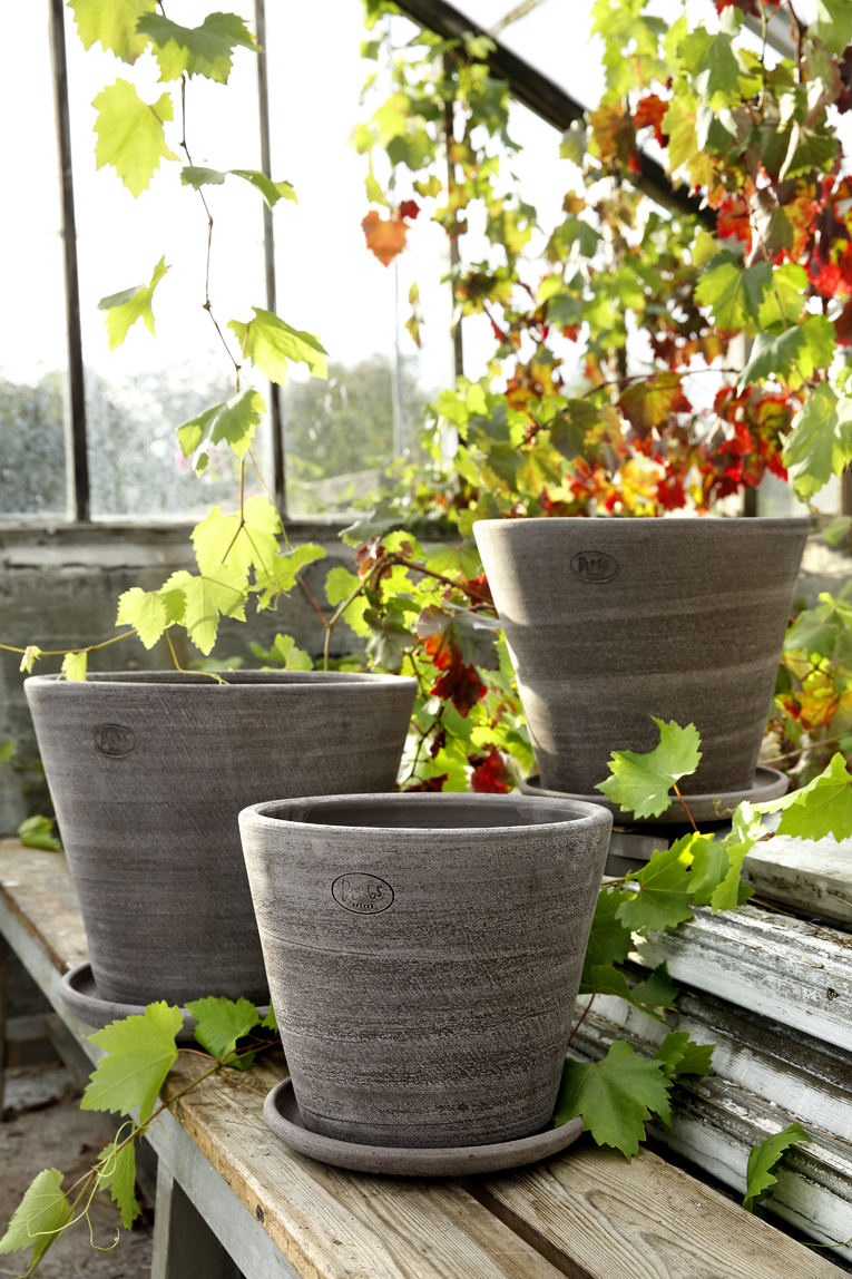 Three simple raw grey outdoor pots in a greenhouse with plants.