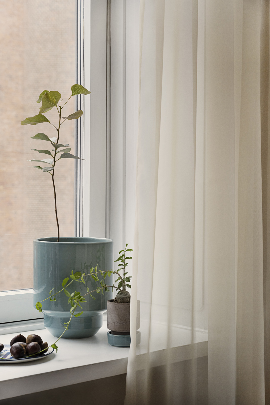 Misty blue Hoff pot in windowsill with plant