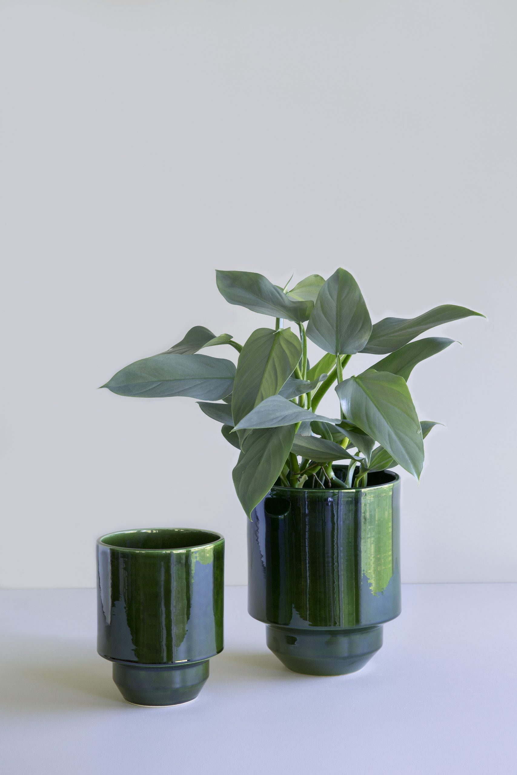 Two glazed green pots, the largest one with a plant.