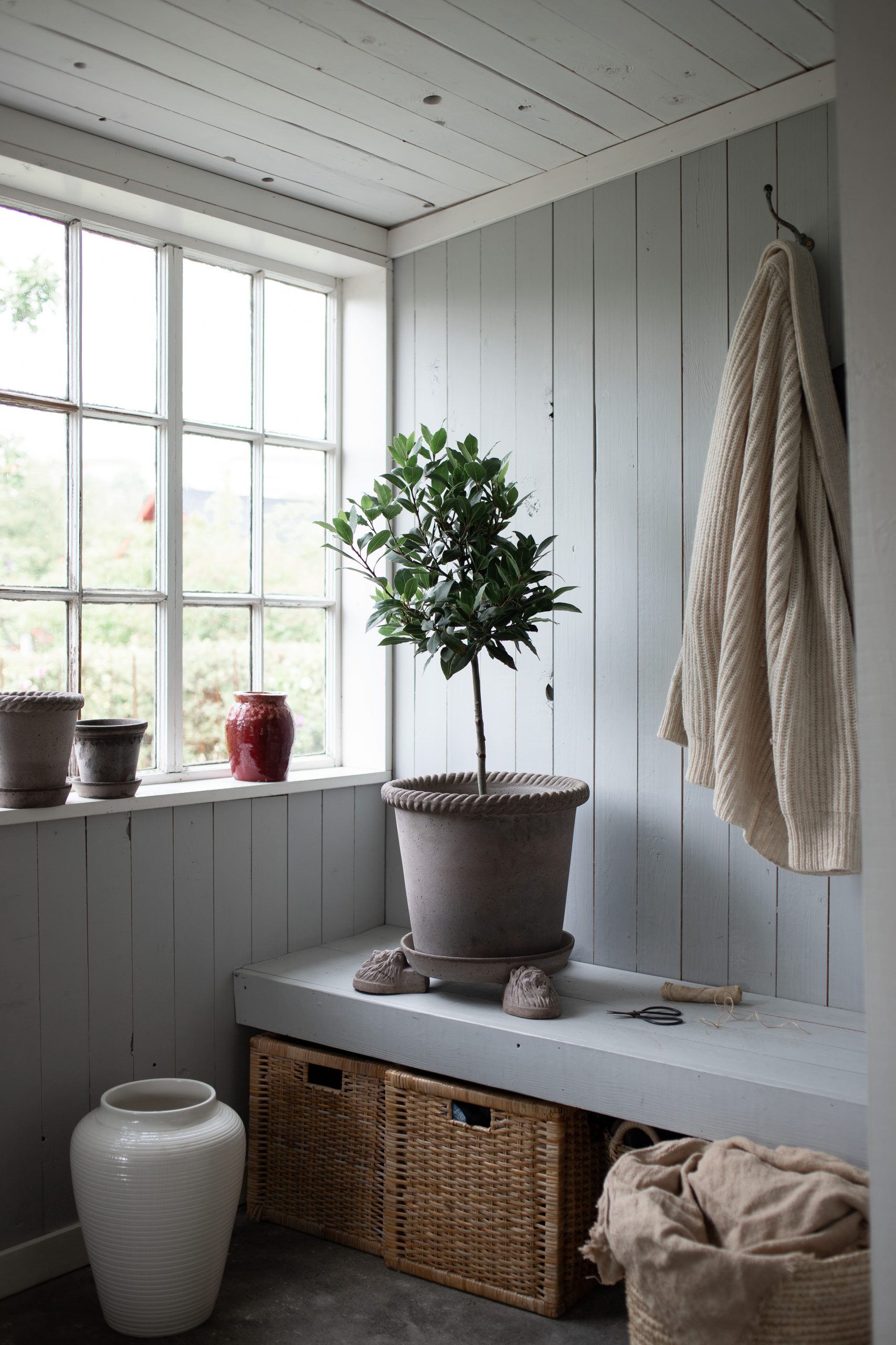 The classic, slim and tall EMILIA pot by Bergs Potter is the perfect fit for olive trees. On the floor a vast, white WILLOW floor vase from Bergs Potter. Photo Elle Decoration blogger Elin Lannsjö.