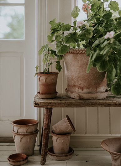 A collection of rosa terracotta Elizabeth pots in sizes Ø12 and Ø18 cm and a large Emilia pot Ø35 cm, all by Bergs Potter. Photo: Anna Kubel.