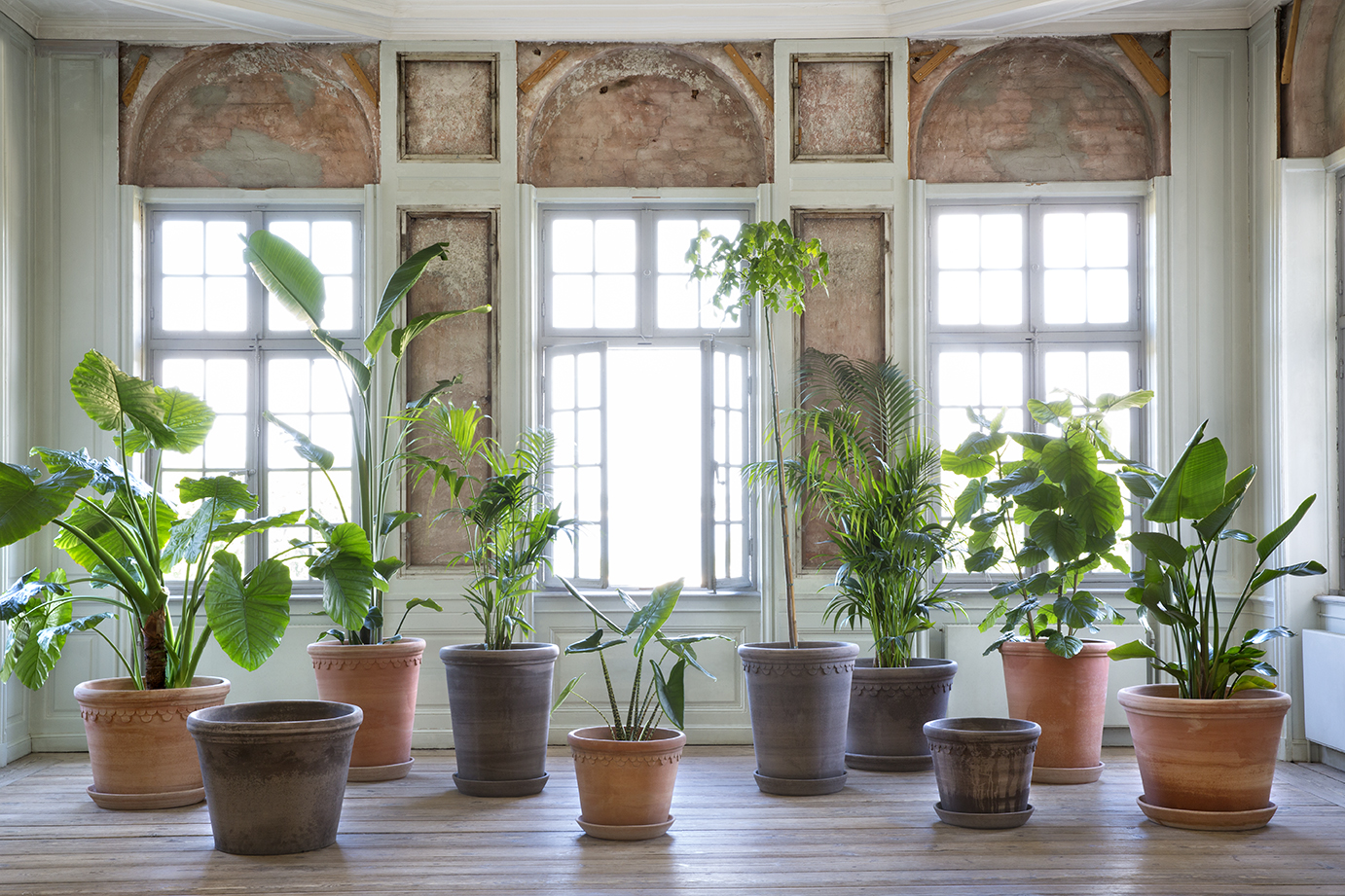 Large Flora and Københavner pots in living room