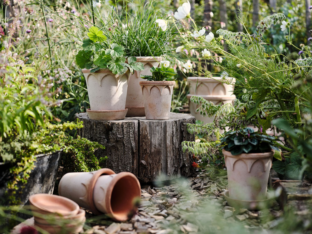 Elizabeth Ø25, Ø21 and Ø18 Rosa Bergs Potter Elizabeth Raw Rosa terracotta