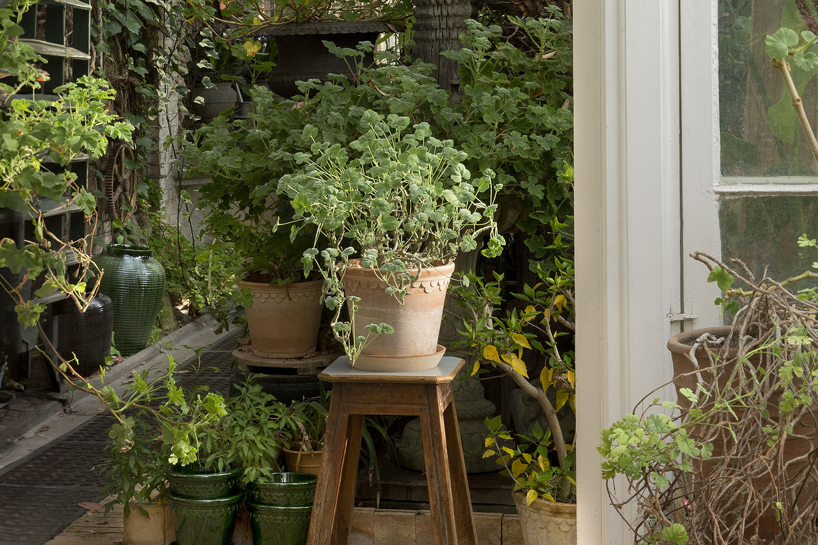 Bergs Potter Københavner Copenhagen pot in raw Rosa terracotta size Ø25