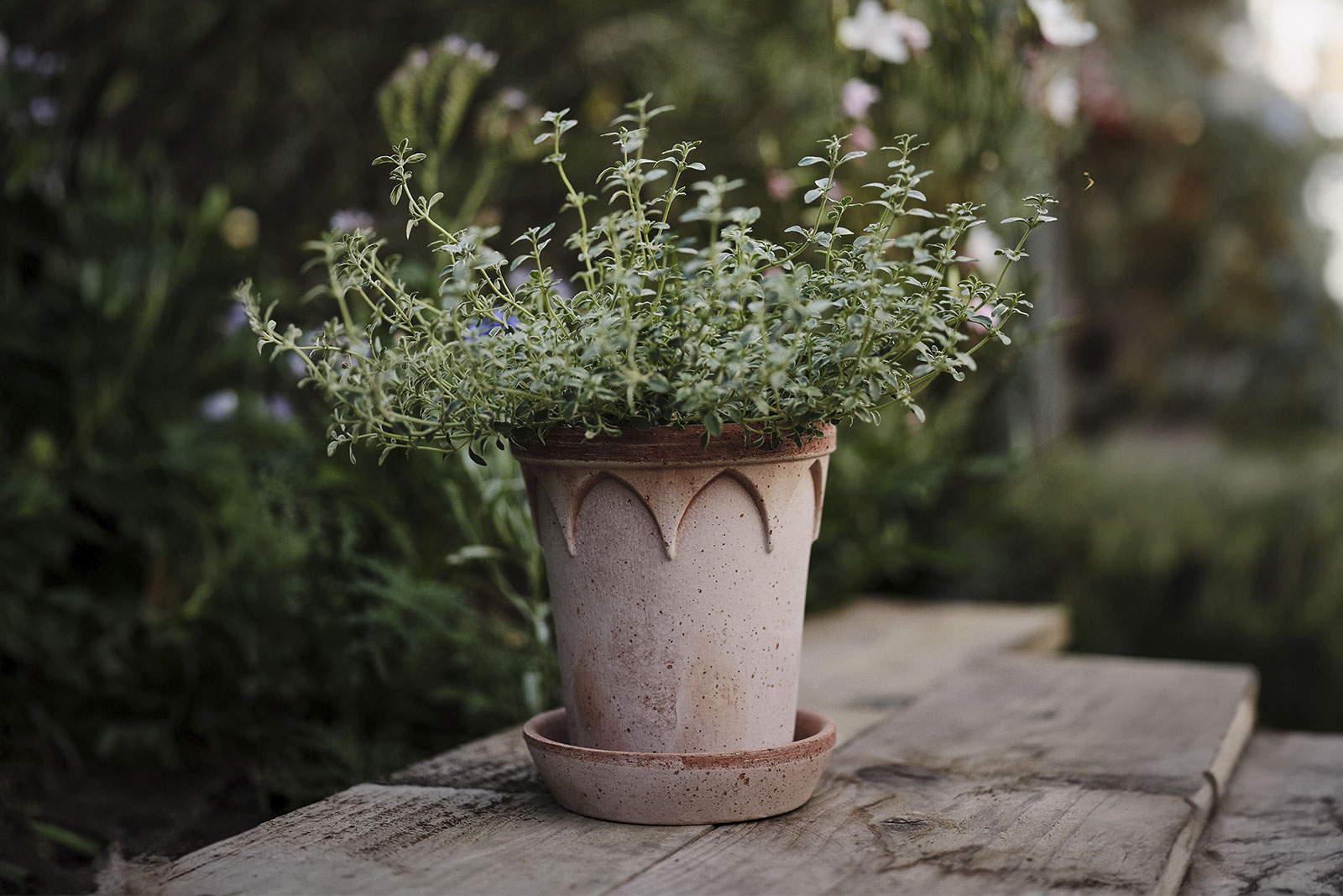 Bergs Potter Outdoor pot Elizabeth Ø12 Rosa raw terracotta