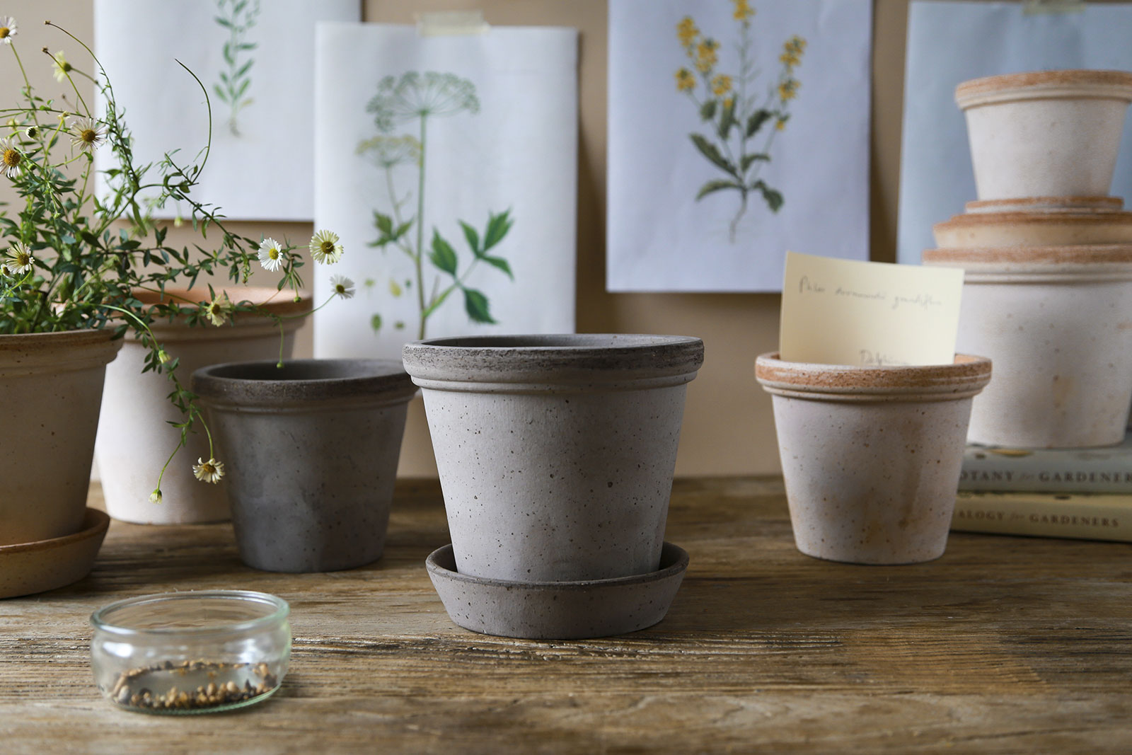 Bergs Potter Flora pot raw terracotta in Grey and Rosa Size Ø