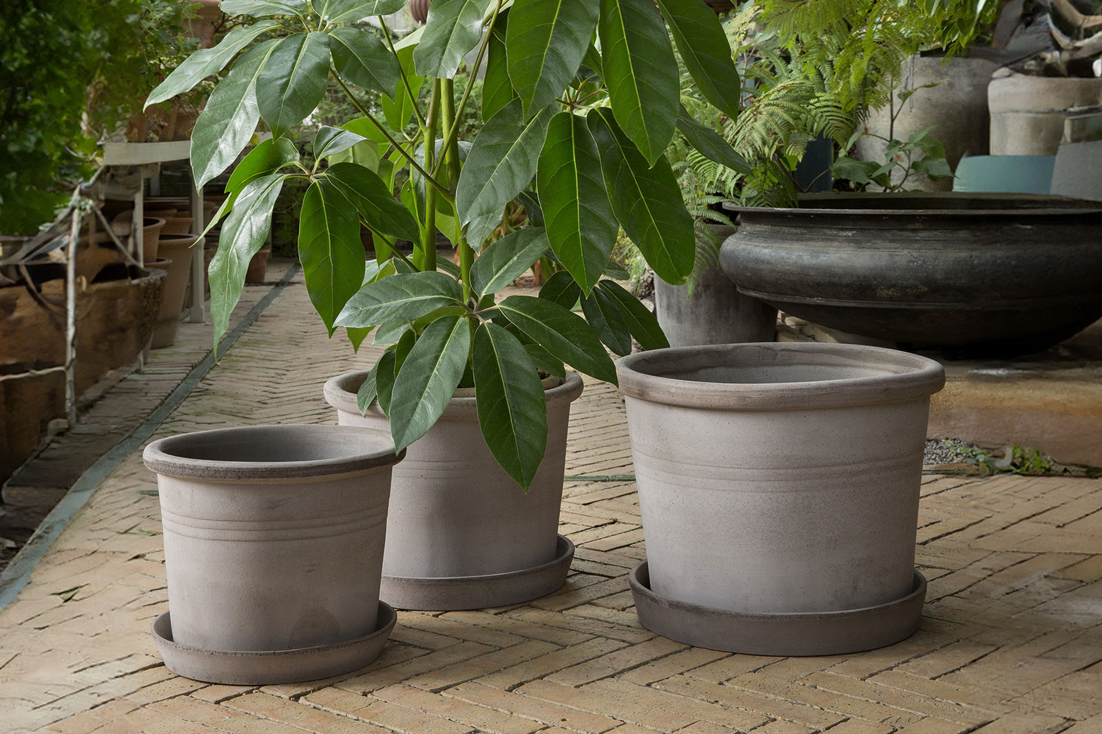 Bergs Potter Full Collection Galestro in Grey raw terracotta Size (H/Ø) 30/23, 35/27 and 40/30 cm