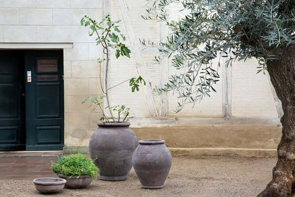 Erbe Bowl Ø40 and Ø50 Grey with Olivia H90 and H70 Grey Bergs Potter. Olivia H70 and H90 with Erbe Bowl Ø40 and Ø50 Grey Raw Terracotta. Indoor and outdoor
