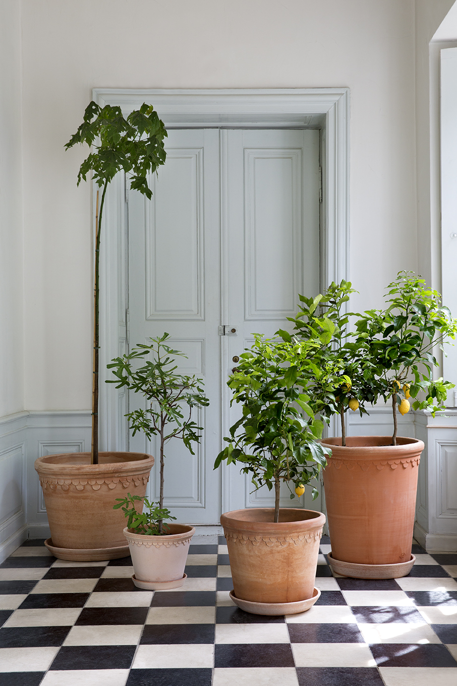 Bergs Potter. Raw Terracotta. Indoor and outdoor. Københavner Ø30 Rosa, Large Tall Ø60 Rosa with Large Ø50 and Ø70 Rosa