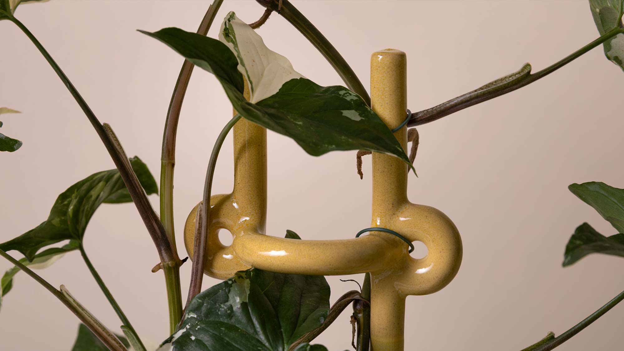 Bergs Potter Folk Hinto Plant stake in grainy pale yellow with greenery.