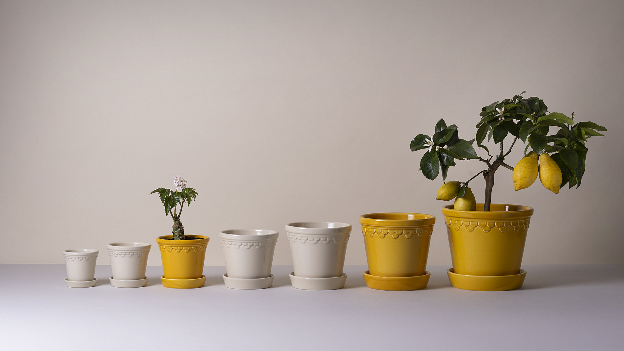 Københavner Plant Pot – A Royal Danish Classic | Bergs Potter
