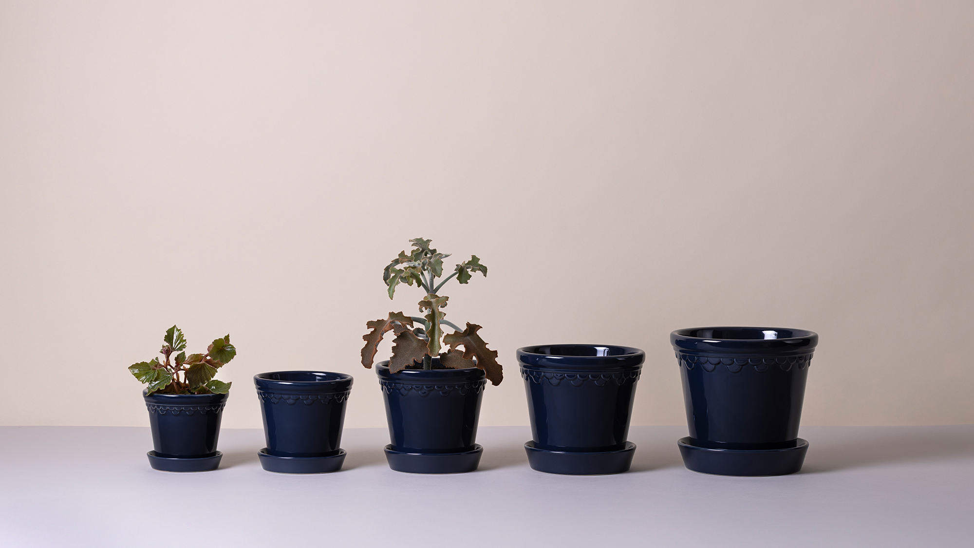 C*Y様 Bergs Potter Copenhagen Mineral Whi Københavner Pot with Saucer - Glazed Mineral White – Hedges