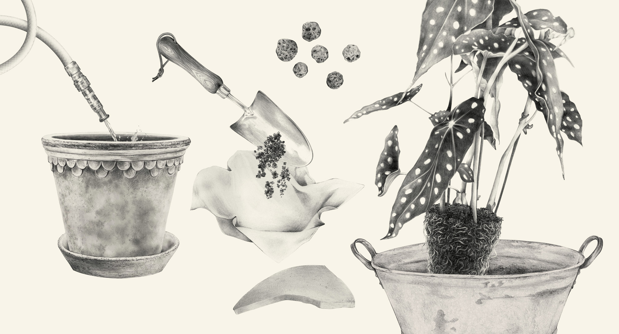 careguide_weim_2000px