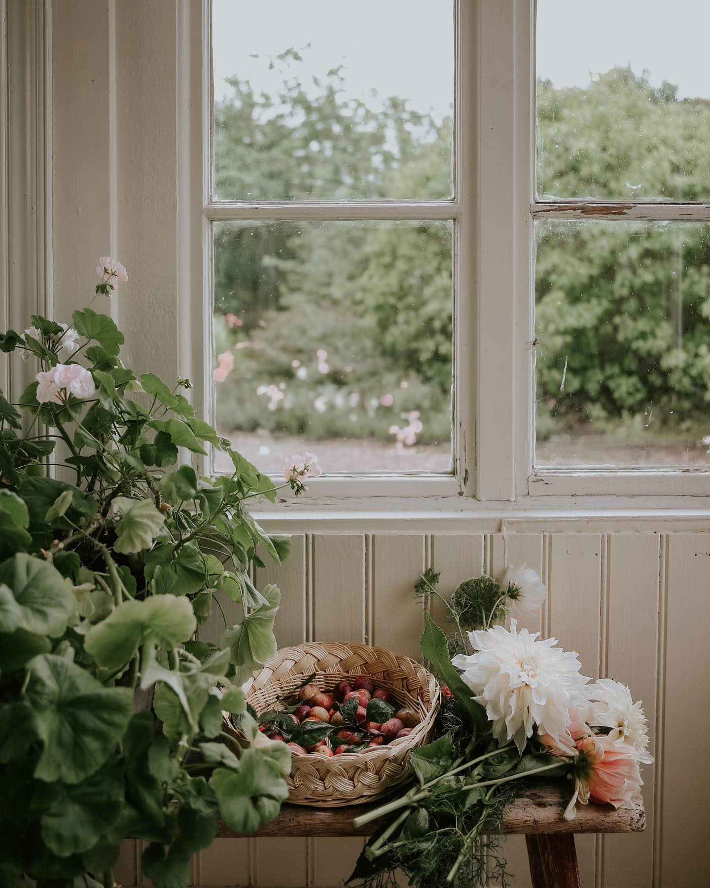 Strawberries and flowers on bench by cottage window