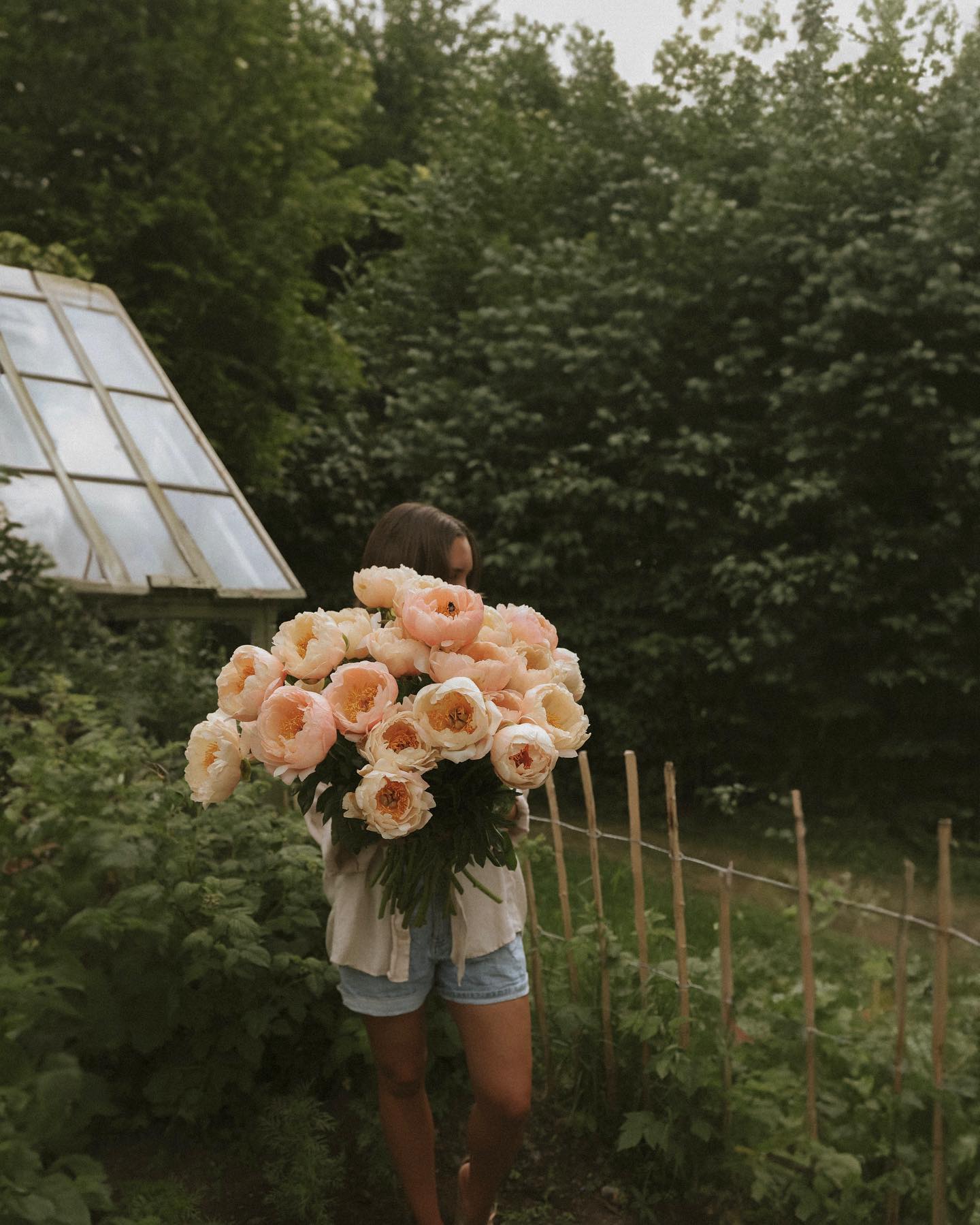 Anna Kubel holding large bouquet of garden peonies