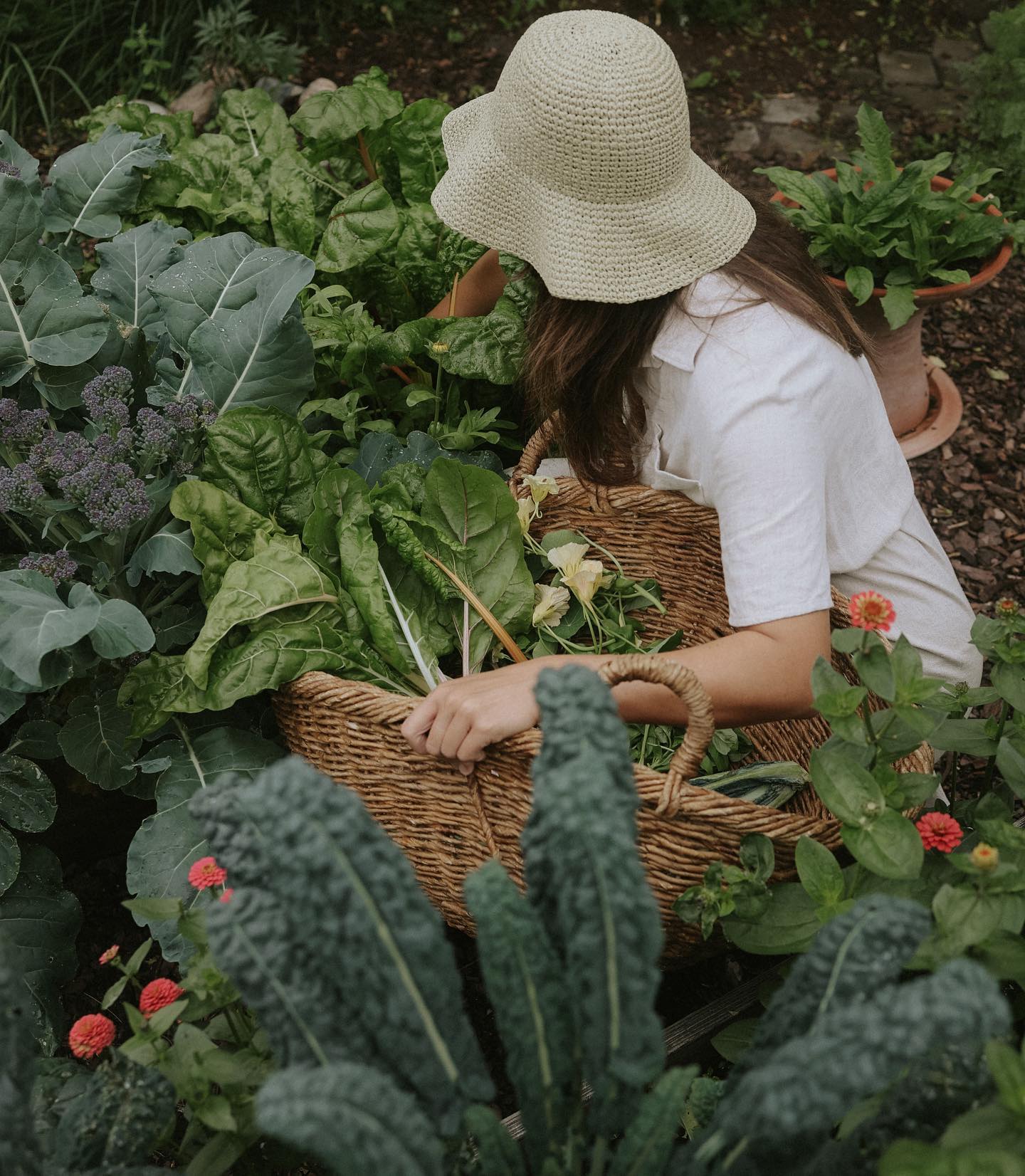 Anna Kubel harvesting vegetables