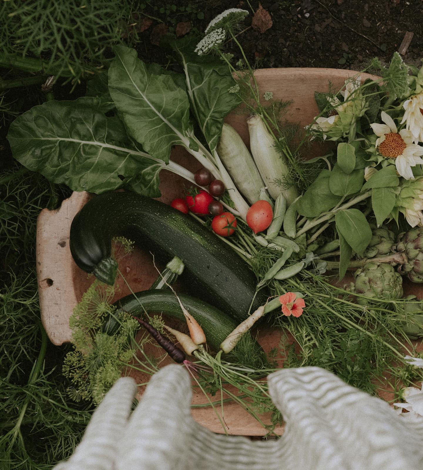 Harvested summer vegetables and flowers in garden trug