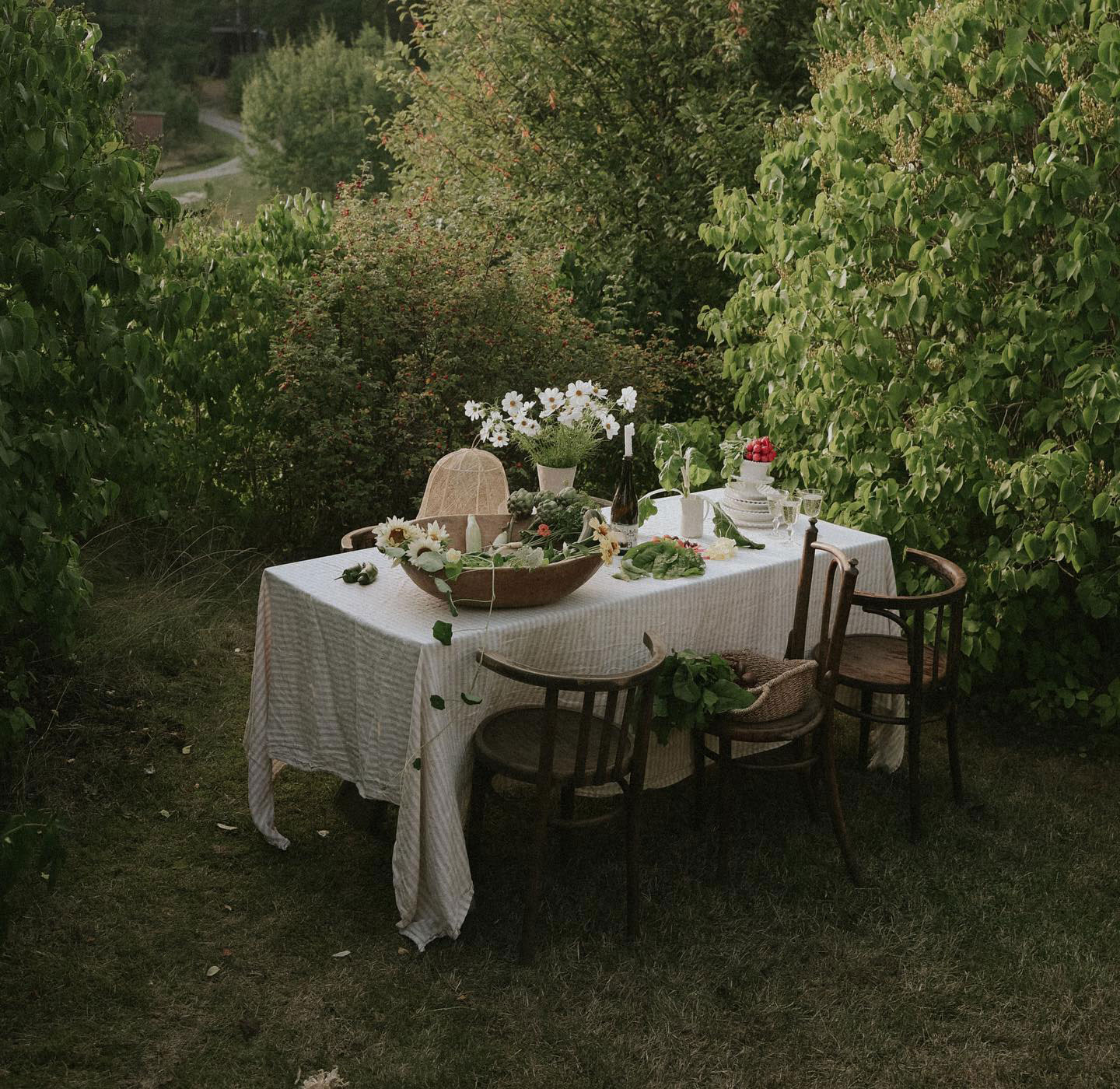 Romantic summer tablescape set in lush green garden
