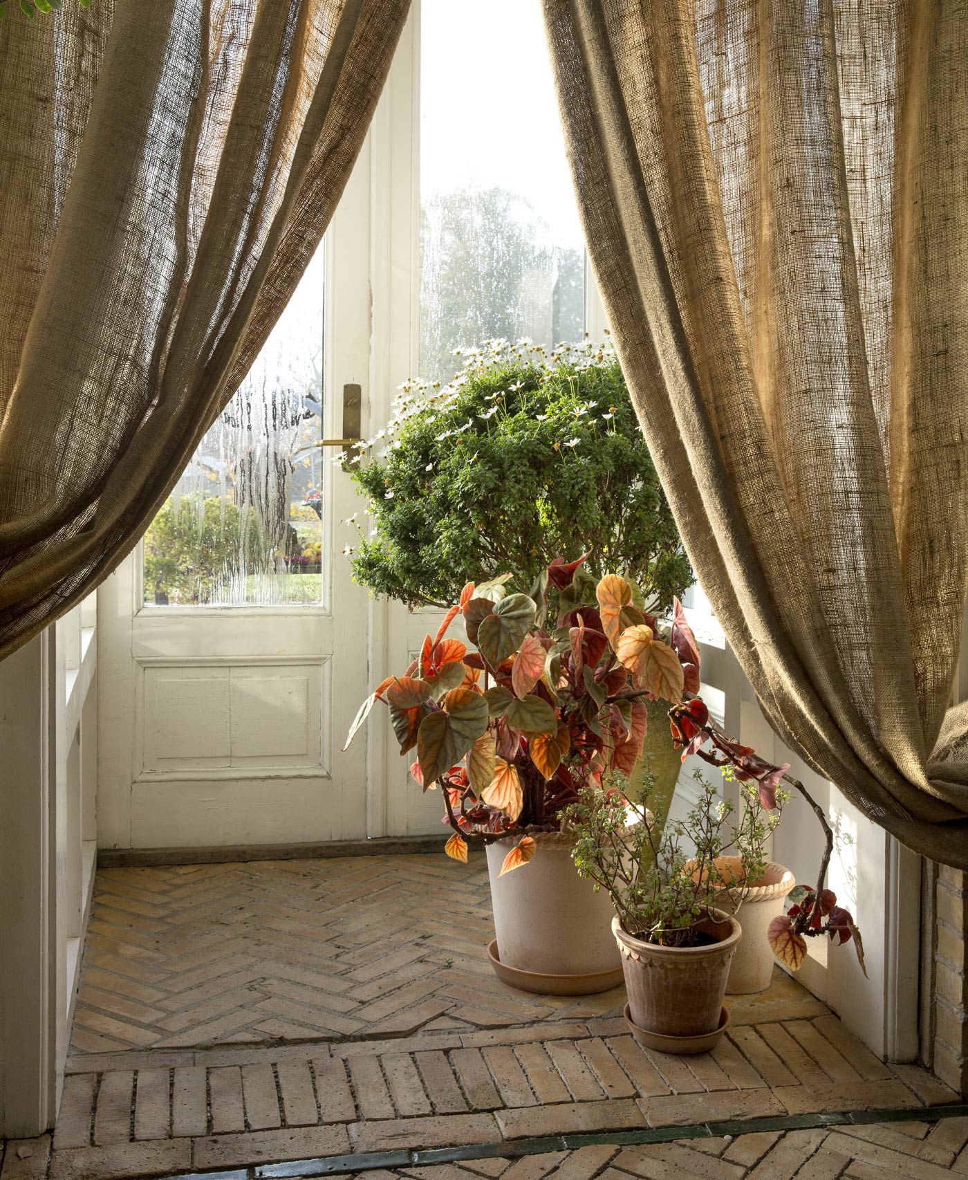 Autumn light Bergs Potter pots by doorway with plants