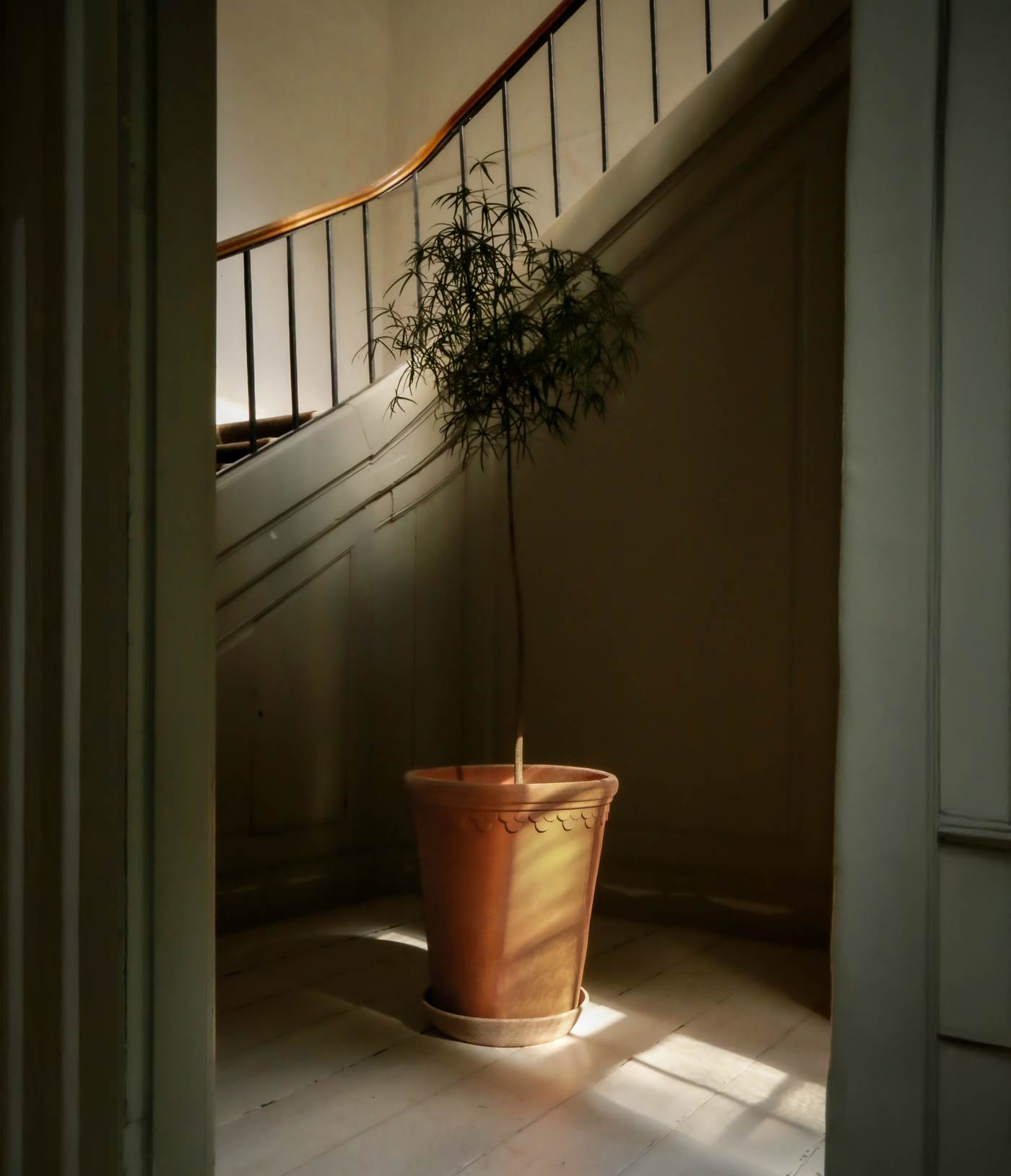Autumn light Bergs Potter Københavner pot by the staircase