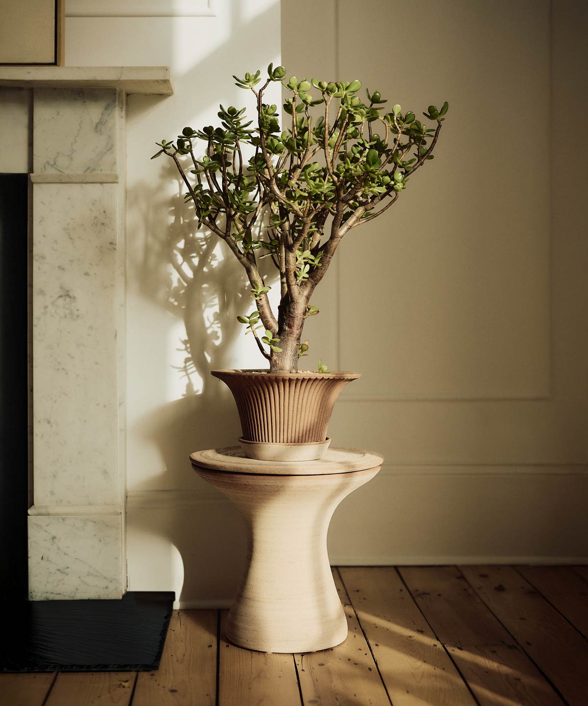Autumn light Bergs Potter pots by doorway with plants