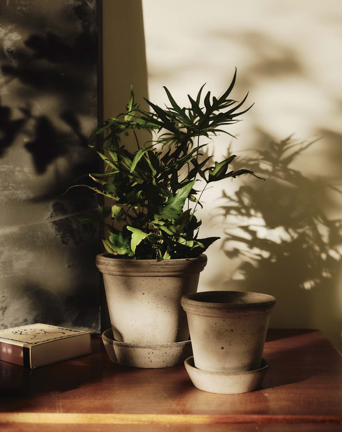 Autumn light Bergs Potter Flora pots on table
