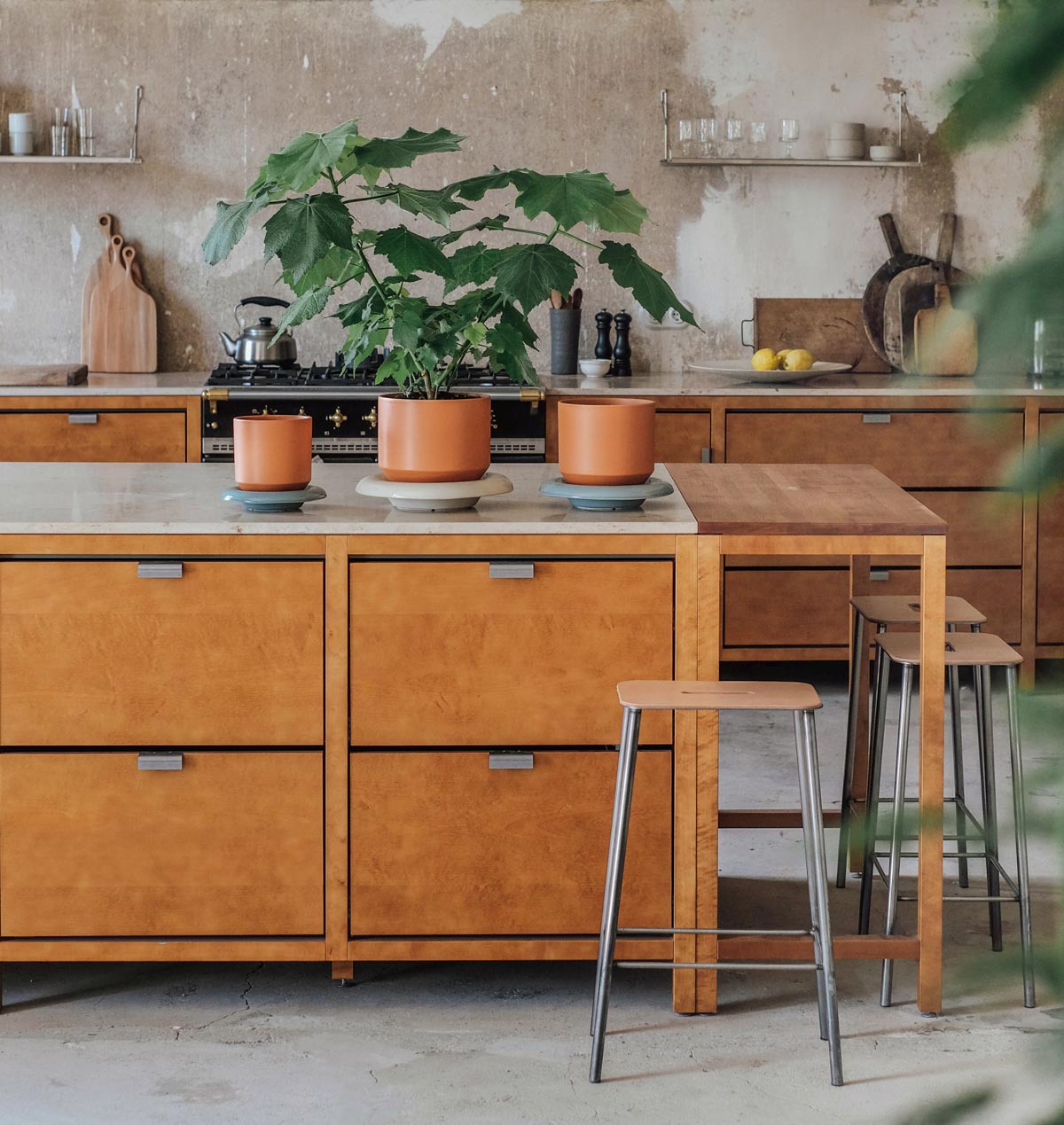 Three Bergs Potter Lily pots in tangerine orange with sandstone and misty blue saucers on kitchen island