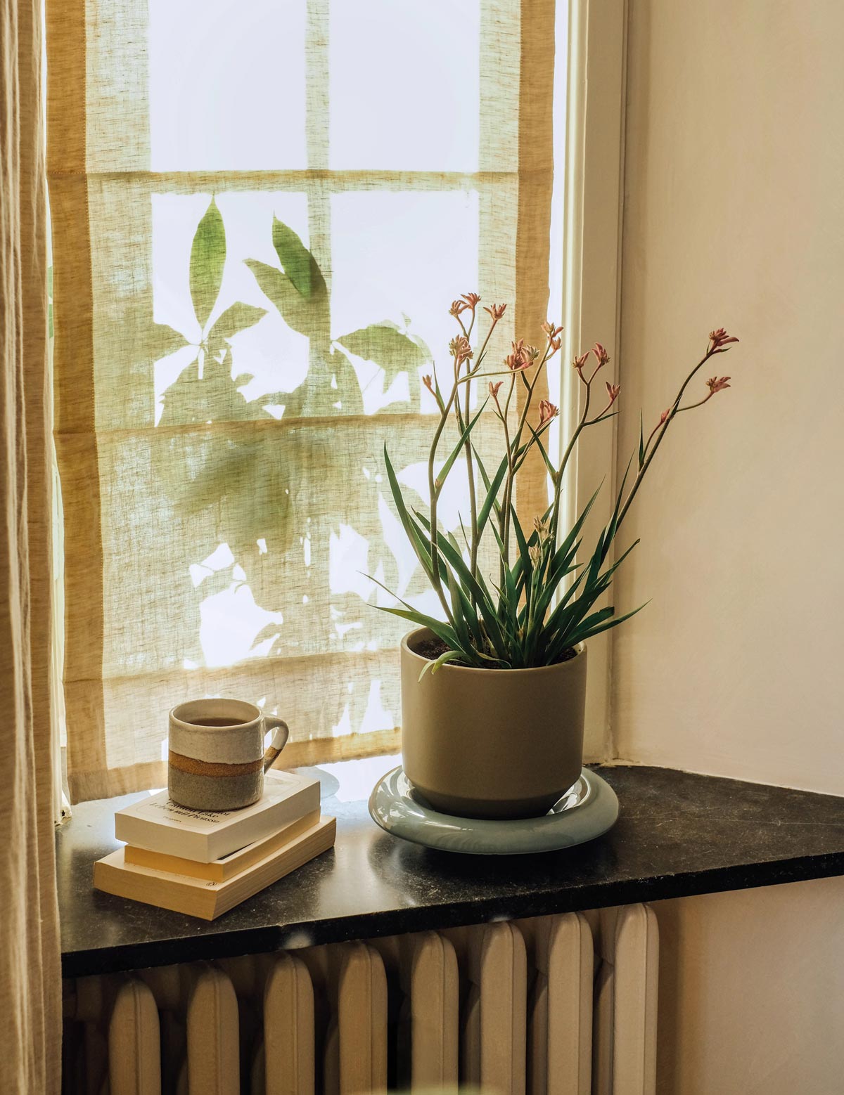 Sage green Bergs Potter Lily pot with misty blue saucer on windowsill