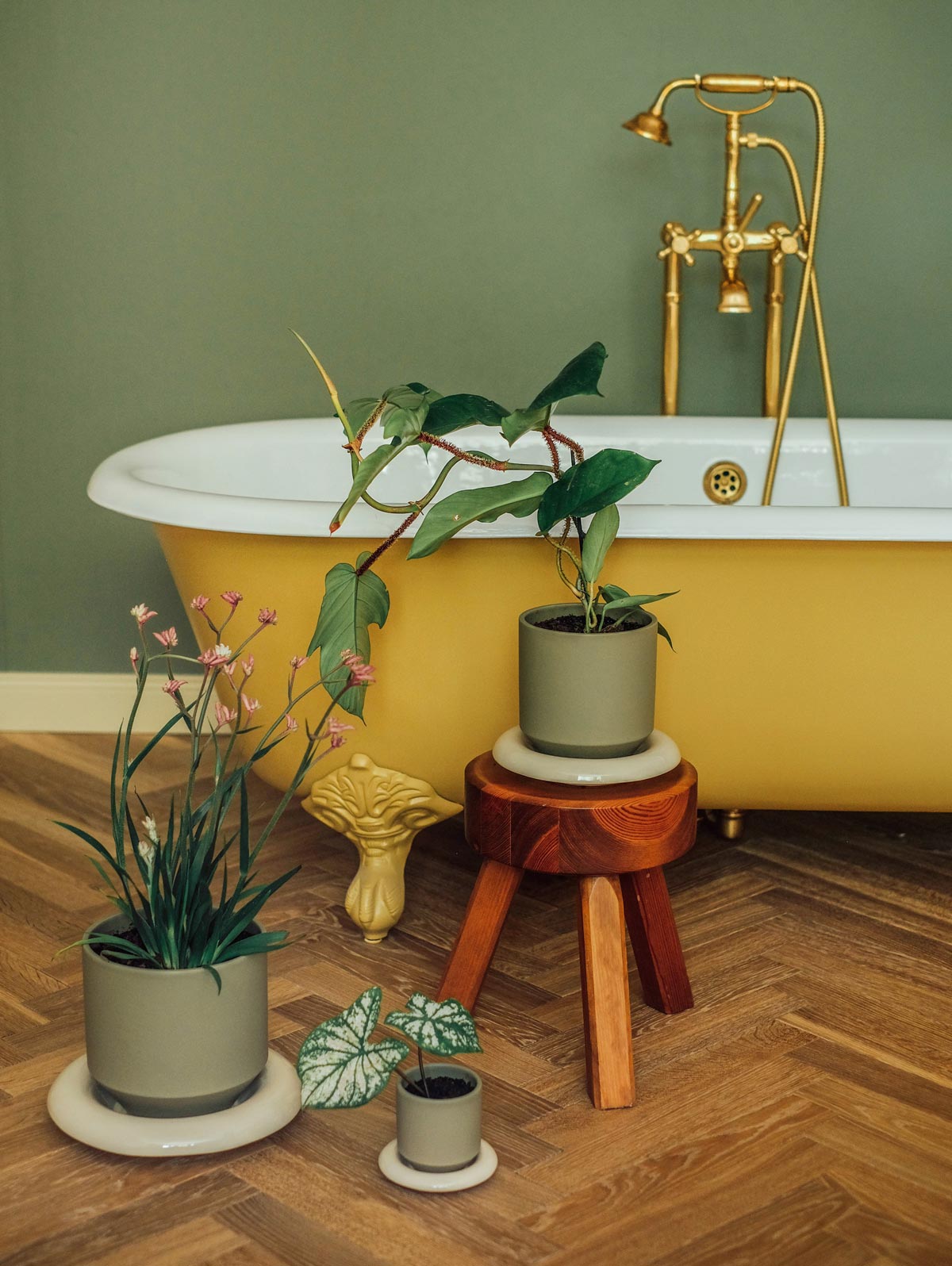 Sage green Bergs Potter Lily pots with sandstone saucers styled by yellow bathtub