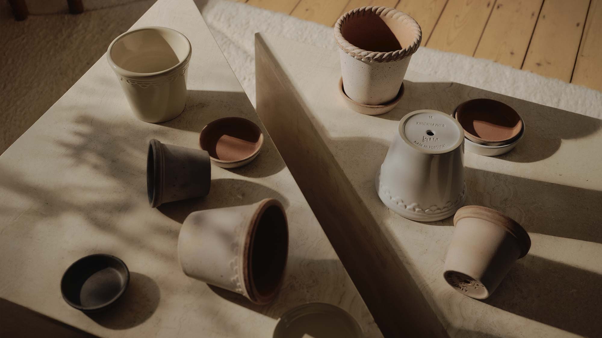 last-rays-of-light_hero_section_frontpage