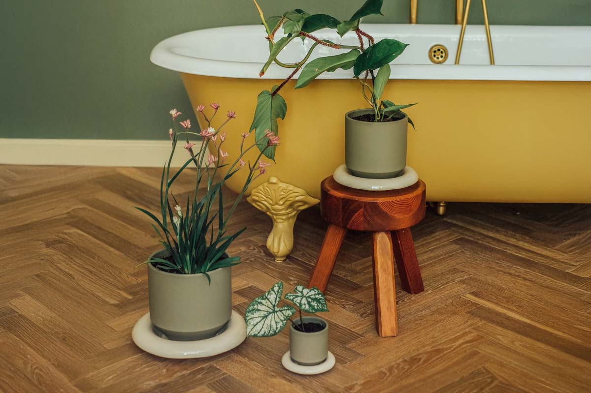 Sage green Bergs Potter Lily pots with sandstone saucers styled by yellow bathtub