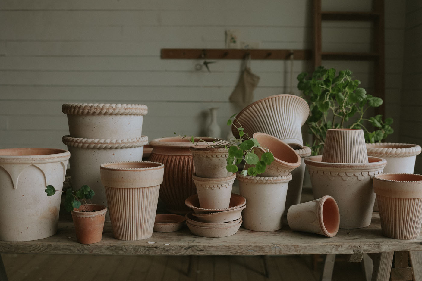 Bergs_Potter_3112_raro_raw_mix_Spring_2026_AK_hz