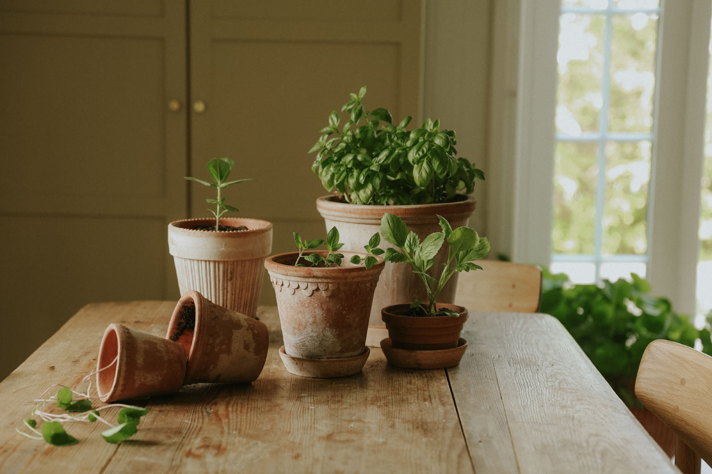 Bergs_Potter_Flora_Københavner_Simona_3122_raro_raw_mix_Spring_2026_AK_hz