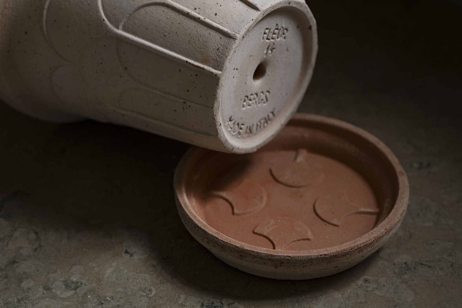 Bergs-Potter_Fleur_raw_raro_Saucerset_FLER14S_3626_SS_hz