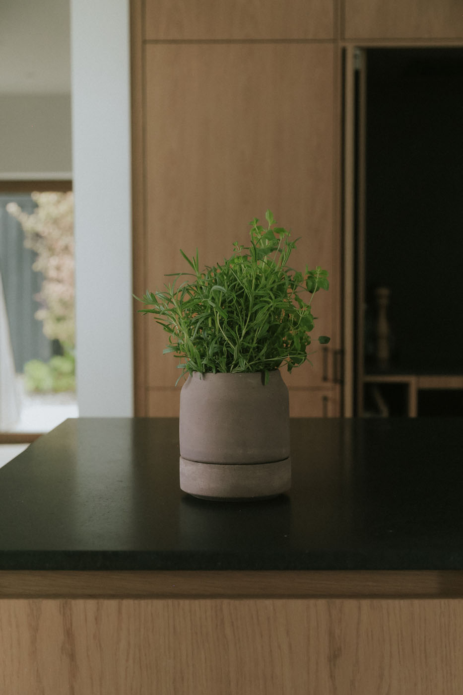 Viva herb pot in Grey terracotta on a kitchen island.