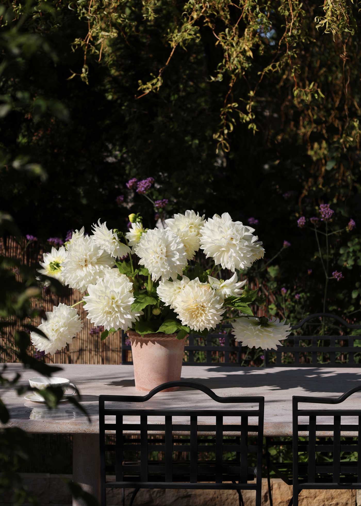 Emilia pot in Rosa terracotta filled with white dahlias, styled on an outdoor garden table in the sunlight.