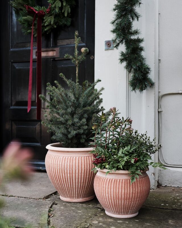 Large Outdoor Pots - Bergs Potter