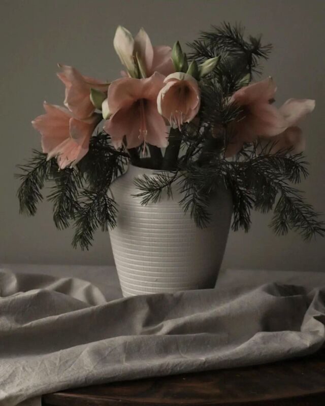 Soucoupe Pot de fleurs Roméo rond 60 griotte Ø40,7cm - POETIC - Mr