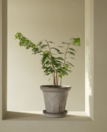 Fleur by Bergs Potter – Streching towards the light